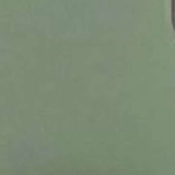 Meet your Posher, Malina - Picture 1 of 1